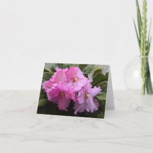 Pink African Violet Note Card