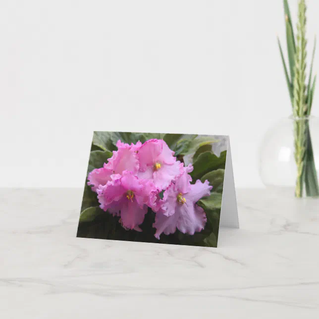 Pink African Violet Note Card Blank Inside | Zazzle