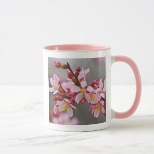 Pink Against A Gray Sky Japanese Cherry Blossoms C Mug