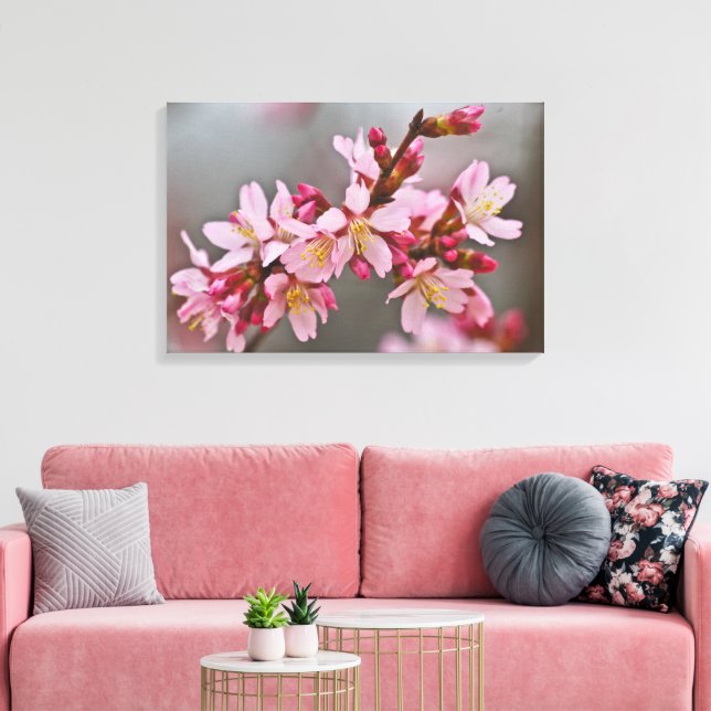 Pink Against A Gray Sky Japanese Cherry Blossoms Canvas Print (Insitu(LivingRoom))