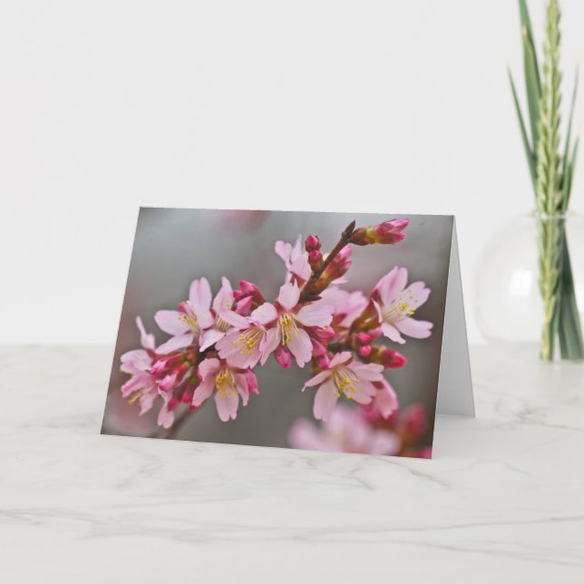 Pink Against A Gray Sky Japanese Cherry Blossoms Card (Front)