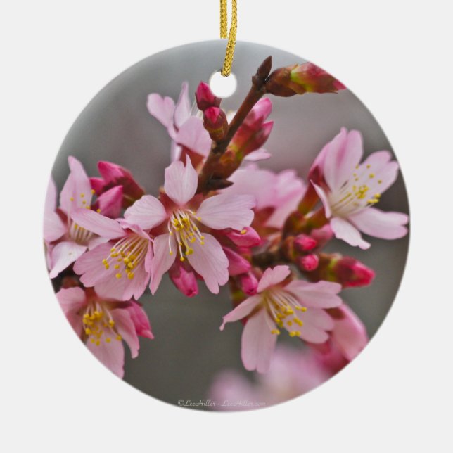 Pink Against A Gray Sky Japanese Cherry Blossoms Ceramic Ornament (Front)