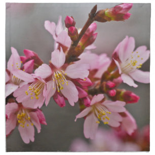 Pink Against A Gray Sky Japanese Cherry Blossoms Cloth Napkin