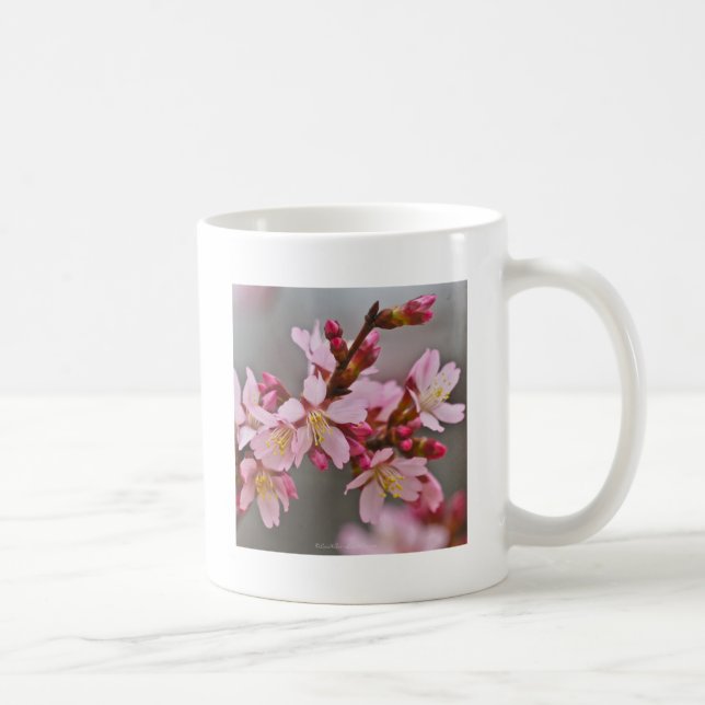 Pink Against A Gray Sky Japanese Cherry Blossoms Coffee Mug (Right)
