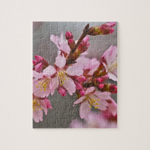 Pink Against A Gray Sky Japanese Cherry Blossoms Jigsaw Puzzle