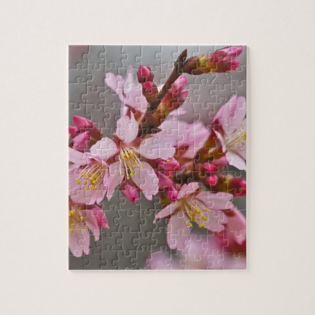 Pink Against A Gray Sky Japanese Cherry Blossoms Jigsaw Puzzle (Vertical)