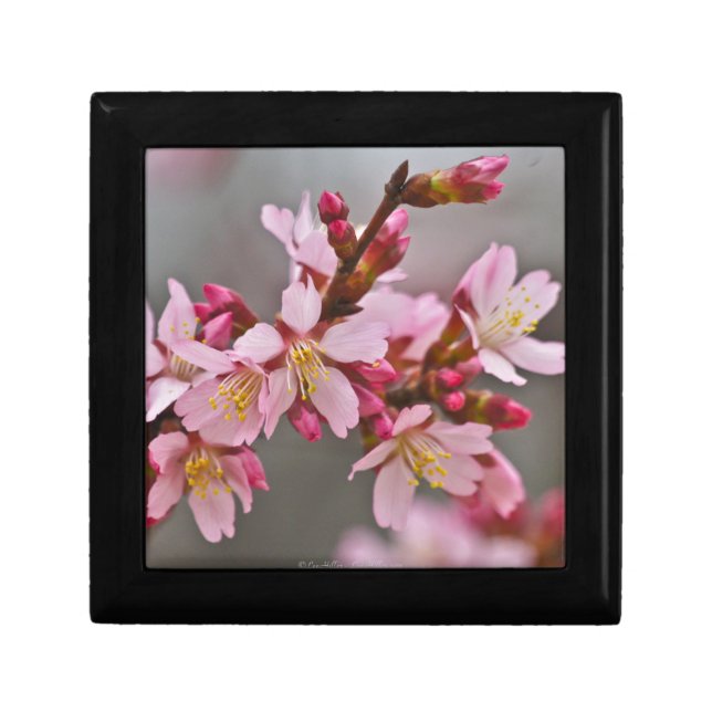 Pink Against A Gray Sky Japanese Cherry Blossoms Keepsake Box (Front)