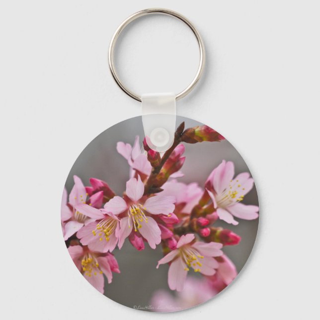 Pink Against A Gray Sky Japanese Cherry Blossoms Keychain (Front)
