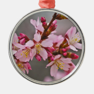 Pink Against A Gray Sky Japanese Cherry Blossoms Metal Ornament