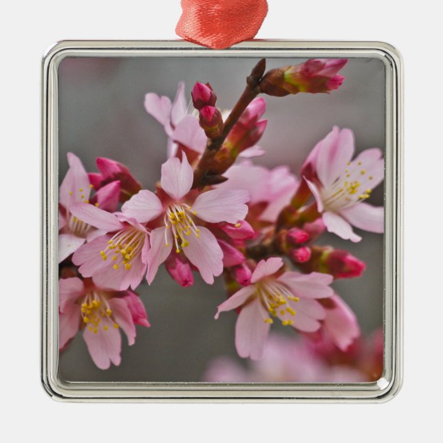 Pink Against A Gray Sky Japanese Cherry Blossoms Metal Ornament (Front)