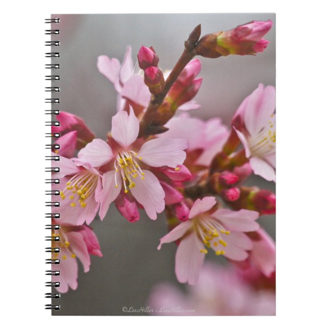 Pink Against A Gray Sky Japanese Cherry Blossoms Notebook (Front)