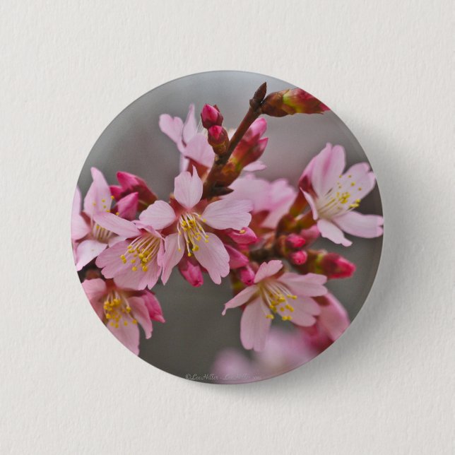 Pink Against A Gray Sky Japanese Cherry Blossoms Pinback Button (Front)