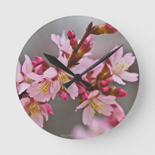 Pink Against A Gray Sky Japanese Cherry Blossoms Round Clock (Front)