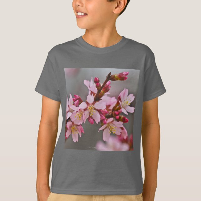 Pink Against A Gray Sky Japanese Cherry Blossoms T-Shirt (Front)