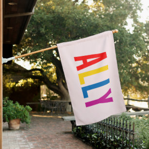 Pink Ally to the LGBTG Community Diversity Equity House Flag