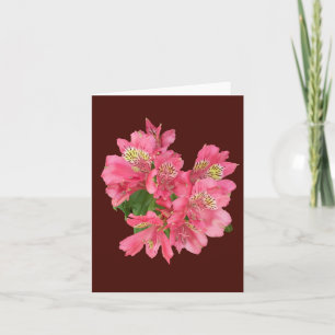 Pink Alstroemeria Photo Folded Note Card