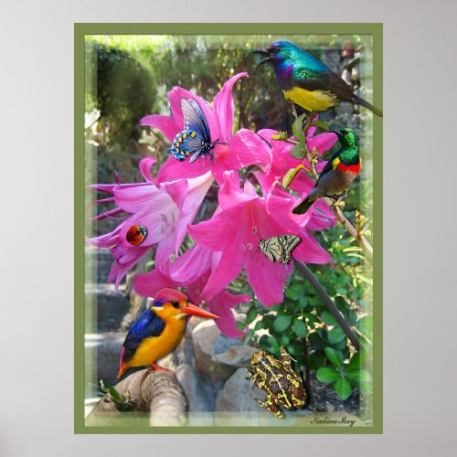 Pink_ Amaryllis  Kingfisher Poster