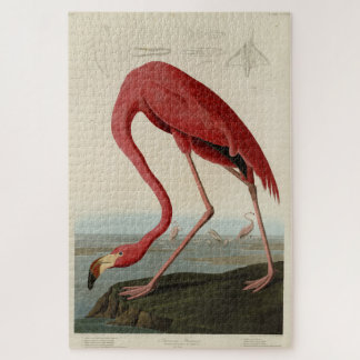 Pink American Flamingo Audubon's Birds of America Jigsaw Puzzle