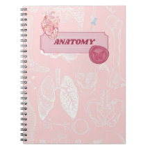 Pink Anatomy Medical Student Aesthetic Design
