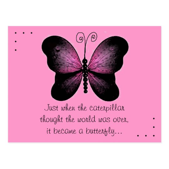 Pink and Black Butterfly Quote Post Card | Zazzle.com