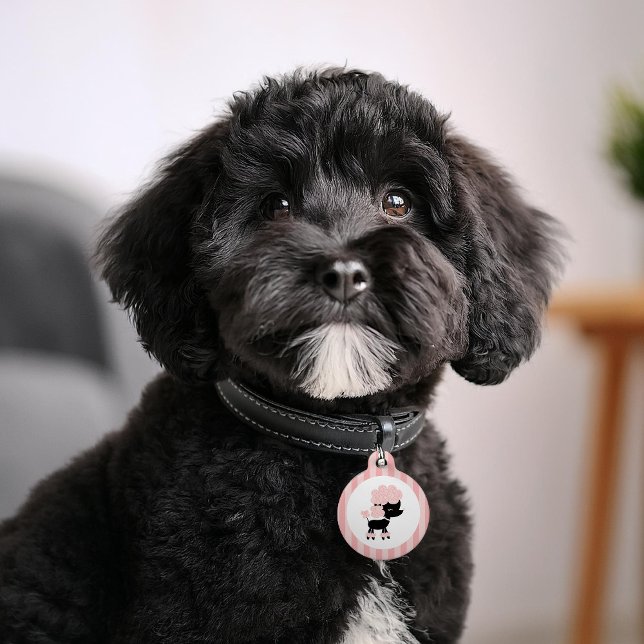 Pink and Black French Poodle Pet Name Tag (Creator Uploaded)
