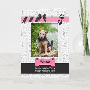 Pink and Black from the Dog Mother's Day Photo Card