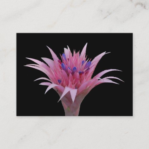 Pink and Blue Aechmea ACEO Business Card