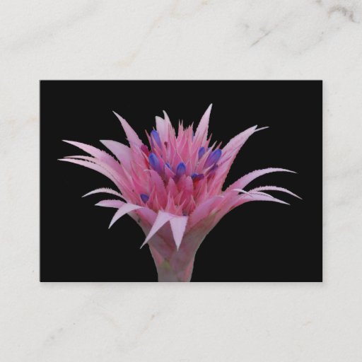 Customizable Pink and Blue Aechmea ACEO Business Card