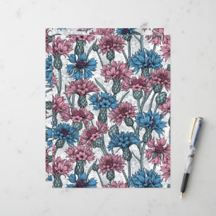 Pink and blue cornflowers, wild flowers on white