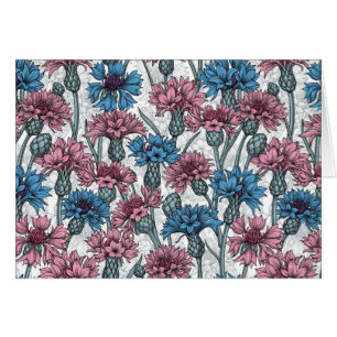 Pink and blue cornflowers, wild flowers on white cards