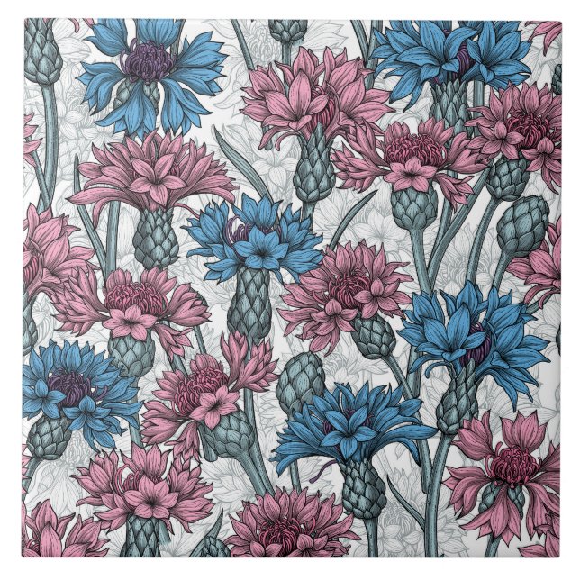 Pink and blue cornflowers, wild flowers on white ceramic tile (Front)
