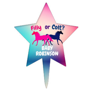 Pink and Blue Filly or Colt Gender Reveal Cake Topper