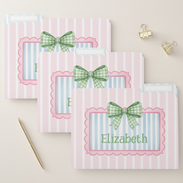 Pink and Blue Frame With Green Gingham Bow File Folder (Set)