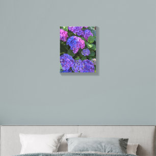 Pink and Blue Hydrangea Blooms Floral Canvas Photo Tile