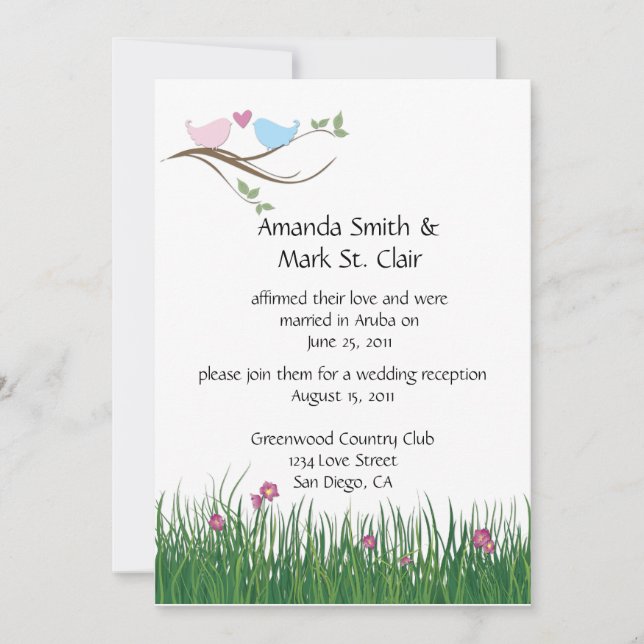 Pink and Blue Lovebirds Wedding Reception Only Invitation (Front)