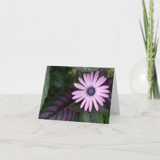 Pink and blue note card