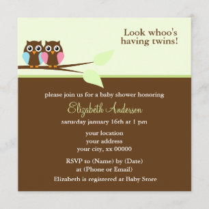 Pink and Blue Owls Baby Shower Invitation