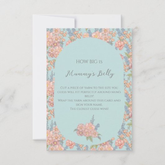 Pink and blue shabby chic How Big belly (Front)