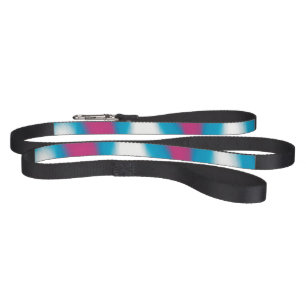 Pink and Blue Waves Pet Leash