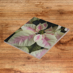 Pink and Cream Marble Poinsettia Floral Ceramic Tile