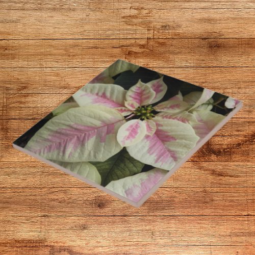 Pink and Cream Marble Poinsettia Floral Ceramic Tile