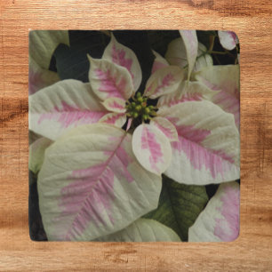 Pink and Cream Marble Poinsettia Floral Trivet