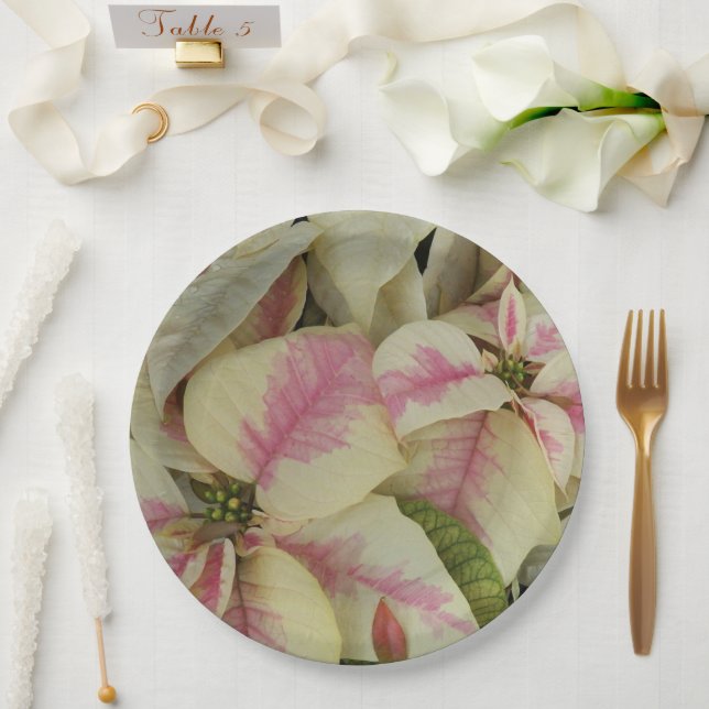 Pink and Cream Poinsettias Floral Paper Plates (Wedding)