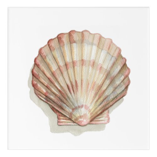 Pink and Cream Seashell Acrylic Print