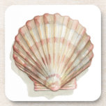 Pink and Cream Seashell Beverage Coaster