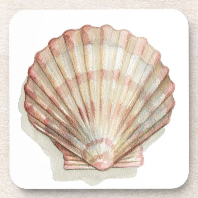 Pink and Cream Seashell Beverage Coaster (Front)