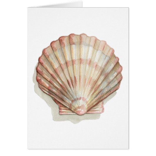 Pink and Cream Seashell Cards (Front)