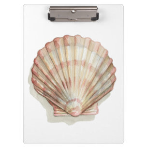Pink and Cream Seashell Clipboard
