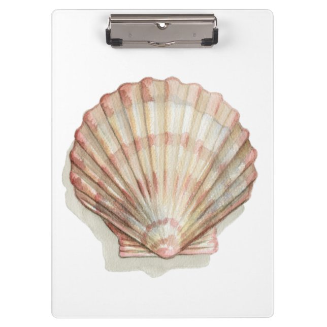 Pink and Cream Seashell Clipboard (Front)