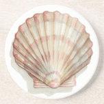Pink and Cream Seashell Drink Coaster
